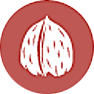 frutos de cáscara