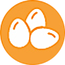 huevos